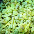 Olibanum Sacra Resin Green